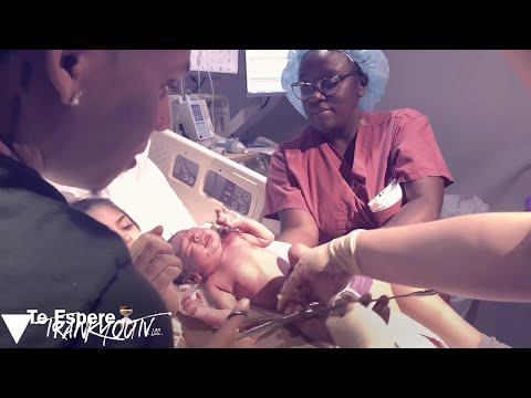 Albert 06 El Veterano - Te Espere⏳ (Video Oficial)