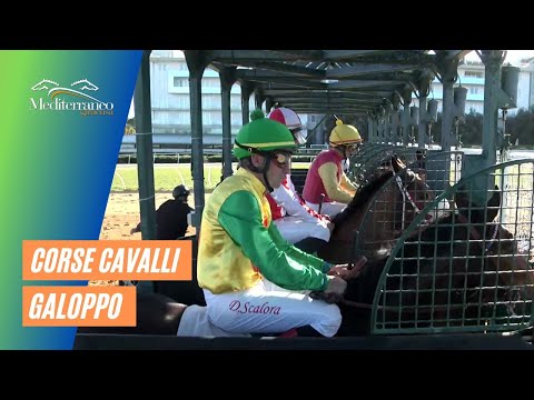 Galoppo corse del 21 Gennaio 2023