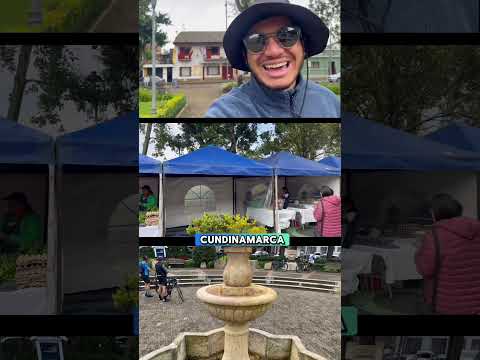 Esto es solo un poco de todo lo que pudimos encontrar en #sopo #cundinamarca #viral #paisajes