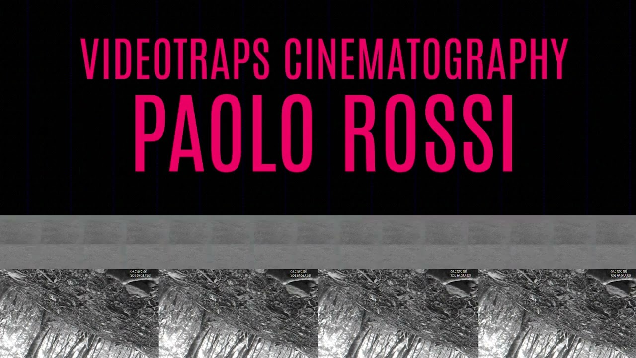 UMFF2024 Trailer|숲 속의 저녁 Even Tide|올해의 산 : 돌리미티 - 이탈리아