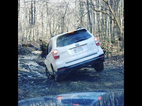 Subaru Forester Offroad - Can it keep up with the trucks?