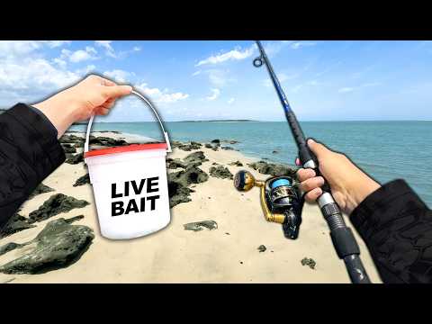 2 Days Fishing from Shore in Florida for Whatever Bites..