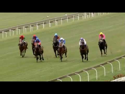 DOCKOFTHEBAY - Turffontein 16/1/21