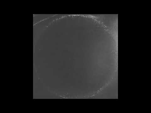 Triángulo de Amor Bizarro - Asmr para Ti (Audio oficial)