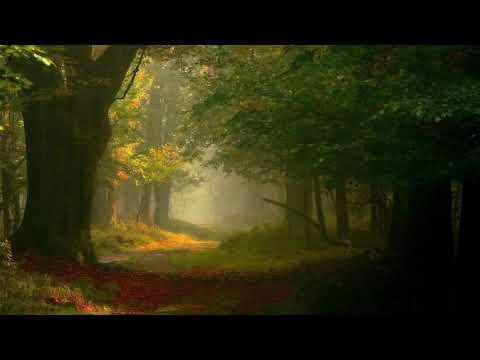 Martin Petřek - Fairytale Of Ours (Instrumental)