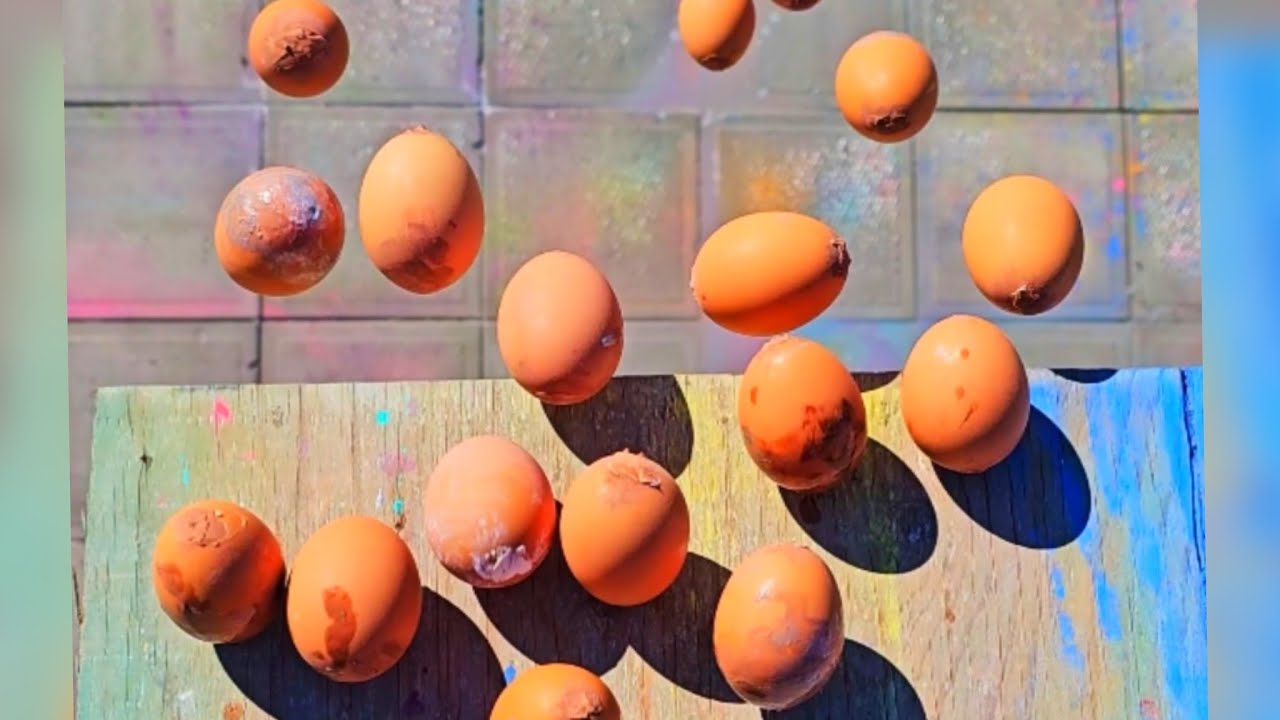 🎈Breaking Glass Bottles and Balloon Drops! Crushing Crunchy & Soft Things!🔥