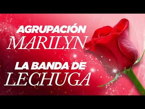 Enganchado De Cumbias Testimoniales 2024 | Agrupación Marilyn VS La Banda De Lechuga | Lo Mejor