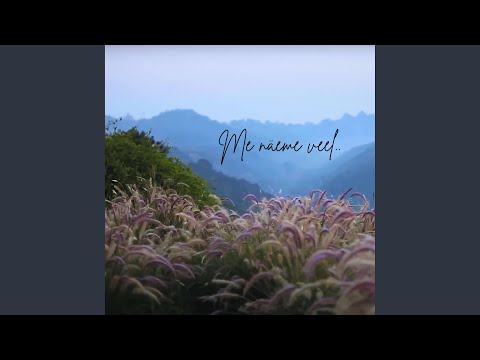 Me näeme veel (feat. Laika Virgin)