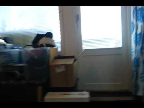 Oli eilen tipahtanut postiluukusta tälänen