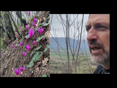 Leonessa Cammino San Benedetto