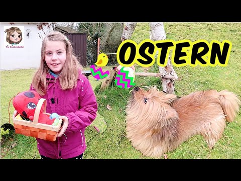 FROHE OSTERN 🐰 Der Osterhase war da 🐰 Nester mit Geschenken für Hannah, Ellie und die Katzen