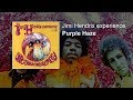 Jimi Hendrix - Purple Haze (Studio version)