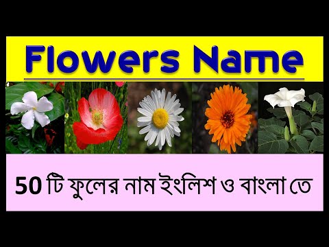 Flowers Name English With Bengali./Flowers Name With Picture/50 Flowers Name With Spelling