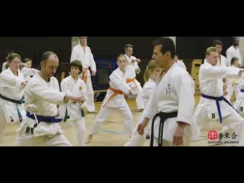 International Shitoryu Karatedo Technical Seminars with WSKF Masters in Belgium.