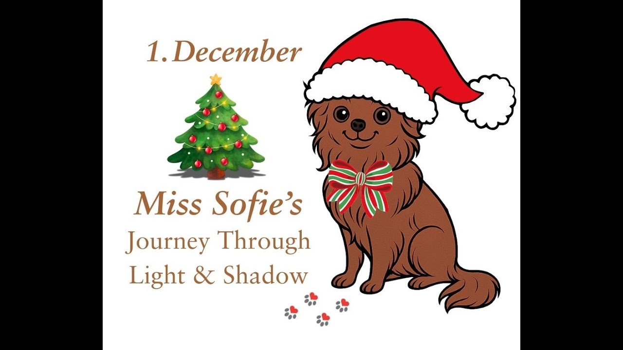 1. December 2025 Miss Sofie's Journey Through Light & Shadow a Christmas Fariy Tale!