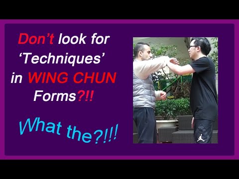 NO TECHNIQUES in forms of Wing Chun?!
