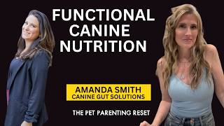 Food as Medicine for Dogs: A Functional Nutrition Approach
