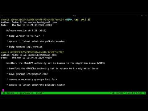 How to upgrade your Polkadot Node with Logan Saether