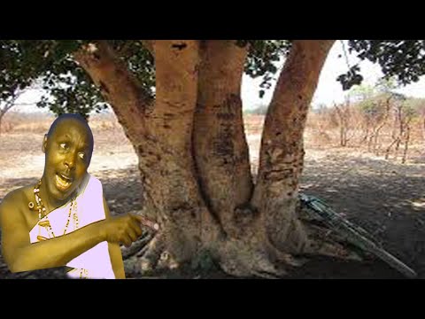 Bylaw - Muri a mbari yau? (Official photo video)