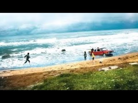 About Elly Full Movie Interpretation and Information | Golshifteh Farahani | Taraneh Alidoosti