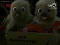 Hammy S Boomerang Adventure Full Short 2006