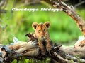 Choodappa