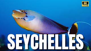 🐠ENCONTRAMOS UM PORTAL PARA OUTRO PLANETA | A Vida Subaquática das Seychelles É Irreal