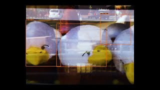 Vegyn – “I See You Sometimes” (feat. Jeshi)