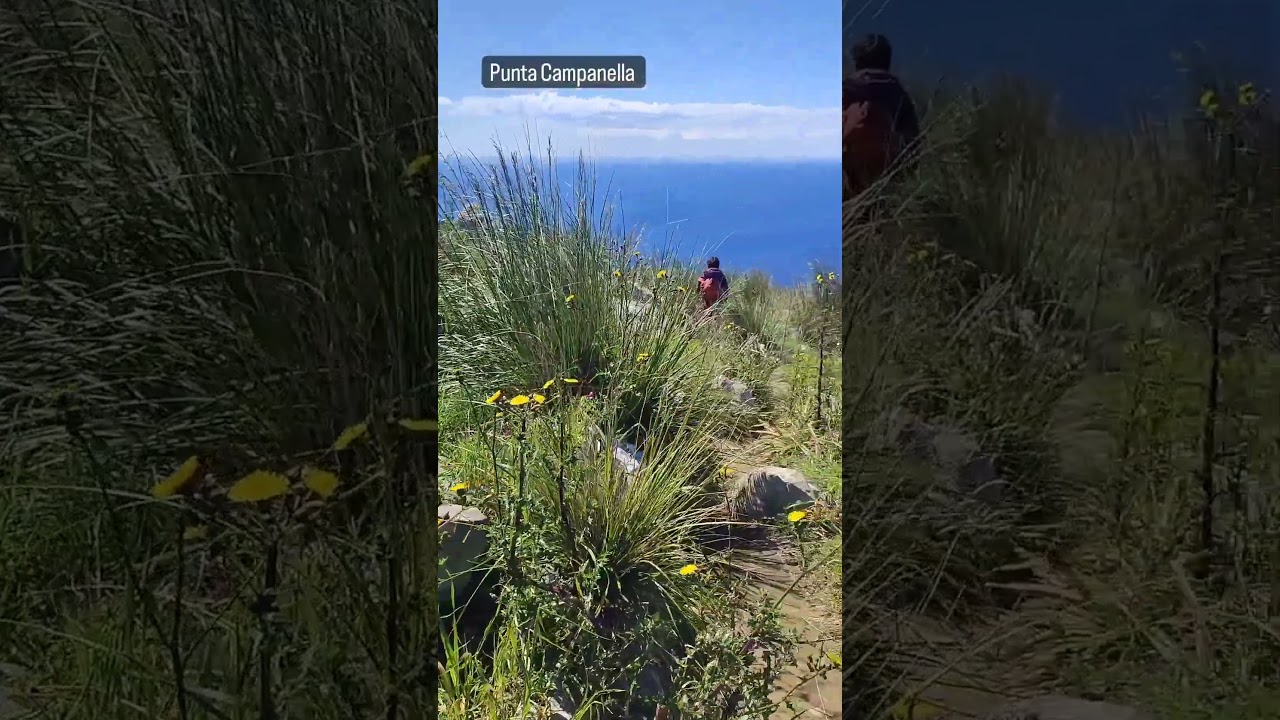 YouTube Short thumbnail