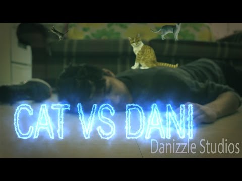 Cat Vs Danizzle
