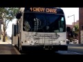 Glendale Beeline 4