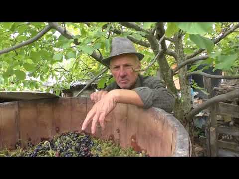 Valea Mică, Bacău   Vinul Rețeta povestită pregătită video eCULTFOOD