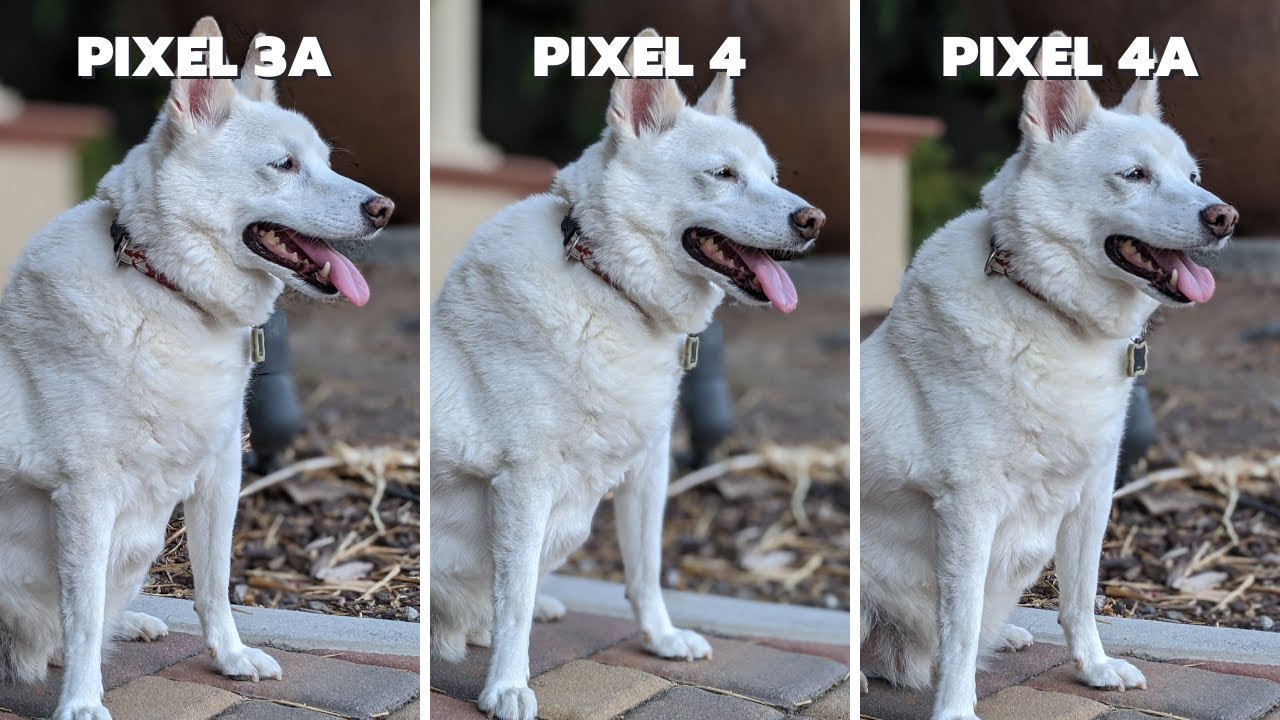 Pixel 3a vs Pixel 4 vs Pixel 4a Camera Comparison