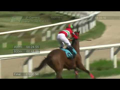 230331 c02 - DONDIN - HIPODROMO LAS PIEDRAS
