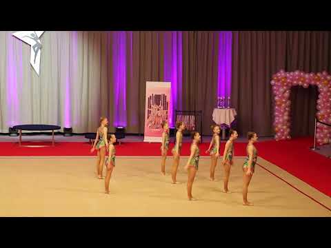 Smágentur Svalan - FM 2021