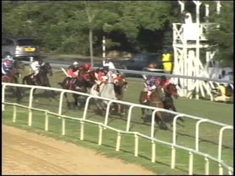 Race #8 2015 Coolmore January 31, 2015