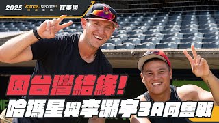 [閒聊] 台鋼搶哈瑪星比簽回魔鷹好