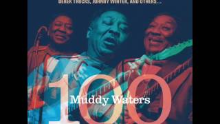 John Primer - I Be's Troubled (Muddy Waters 100)