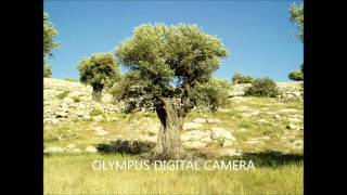 Seek Ye First by Maranatha Singers