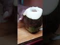 Satisfying Coconut Cut ASMR