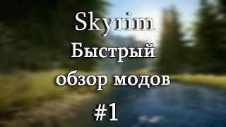 Skyrim: Быстрый обзор модов #1 - TERA Armors Collection, Realistic Water Two, Completer Skyforge.