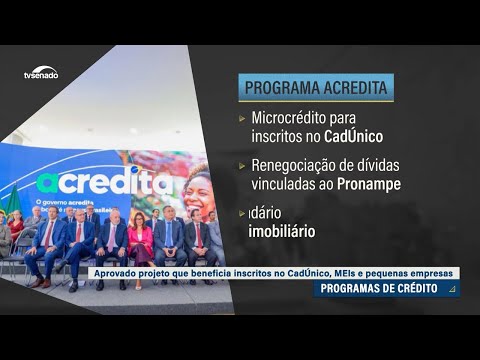 Senado aprova Programa Acredita, de crédito para microempresas