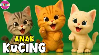 Download lagu ANAK KUCING MEONG MEONG ( Tarian Kucing ) - Lagu Anak Anak - Lagu Anak & Balita Paling Viral Terbaru mp3