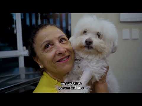 Tumor no Fígado: A história da Brida