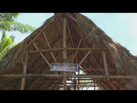 Dentist Michael Faber Reflects on His Journey with the National Health Corps