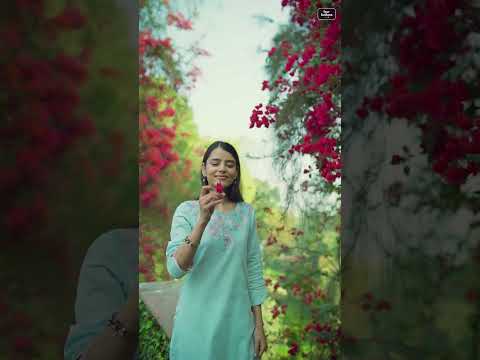 Four Buttons Raina Pure Cotton Wholesale Kurti Catalog – product video thumbnail