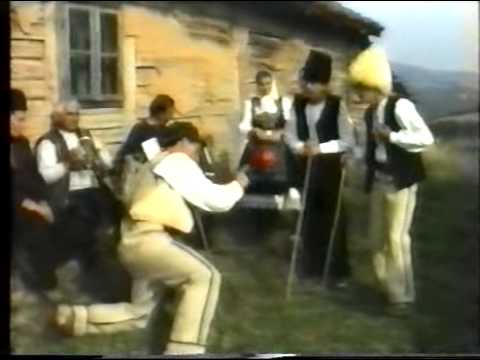 Paun i sin - Lukrator dji la Bor