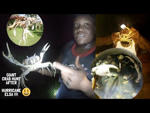 INSANE IDEA!! GIANT LAND CRAB Hunt After HURRICANE ELSA-Caribbean recipe Ep.27