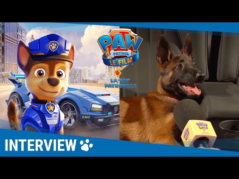 LA PAT' PATROUILLE LE FILM - Les chiens l’ont adoré [Actuellement au cinéma]