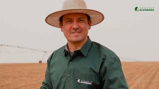AGRÍCOLA ALVORADA - VIDEO SEGURANÇA NO AGRO